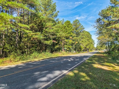 Lot #1 0 Mount Olive Church Rd, Lillington, NC 27546 - photo 5