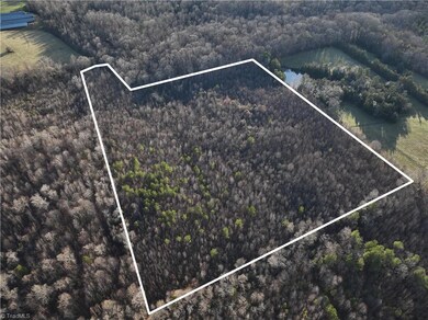 0 Old Bachelor Creek Rd, Seagrove, NC 27341 - photo 2