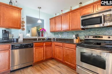 1064 Kingston Village Loop, Irmo, SC 29063 - photo 4