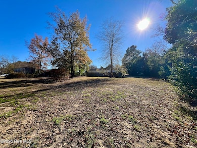 1942 N Carolina 33, Chocowinity, NC 27817 - photo 5