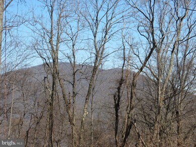 0 Old Ski Lodge Ln unit VARP106168, Washington, VA 22747 - photo 5