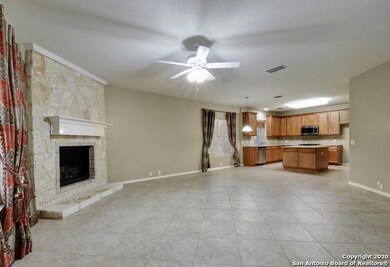 25547 Wentink Ave, San Antonio, TX 78261 - photo 5