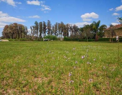 Land/Lot