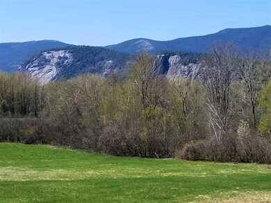 Past those trees is the Saco River, where people g
