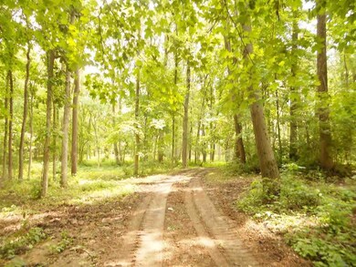 4611 Haven Ct, West Lafayette, IN 47906 - photo 7