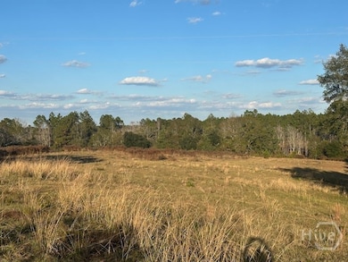 8893 Sunbury Rd, Claxton, GA 30417 - photo 4