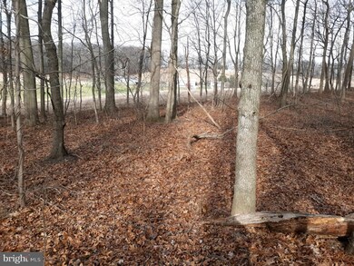 403 Mount Eden Rd, Kirkwood, PA 17536 - photo 2