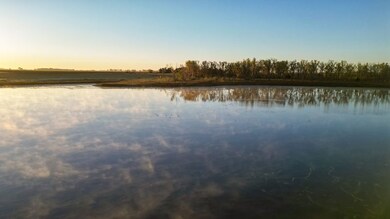 43353 258th St, Bridgewater, SD 57319 - photo 6