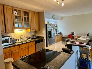 Lake Run Condominium unit 414S, Prospect Heights, IL 60070 - photo 3