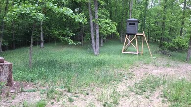 128 McClarity Fork Rd unit McClarity Tract 102, Branchland, WV 25506 - photo 2