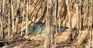 17818 Arkady Way, Winslow, AR 72959 - photo 3