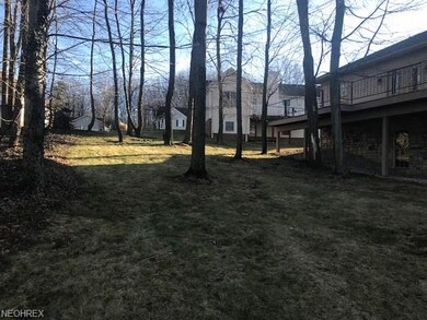 wooded view in the winter