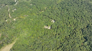 118 McDonald Loop, Dickson, TN 37055 - photo 3