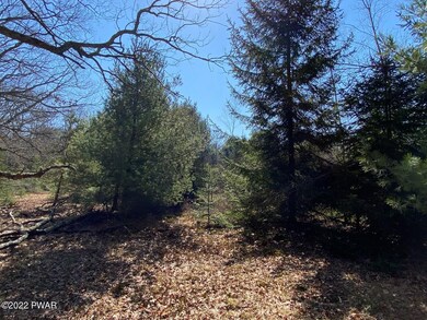 0 Long Ridge Rd, Hawley, PA 18428 - photo 7