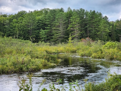 17 Blanchard Dr, Diana Center, NY 13648 - photo 4