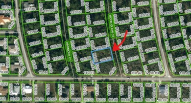 208 Moon Glow Ct, Lake Placid, FL 33852 - photo 3