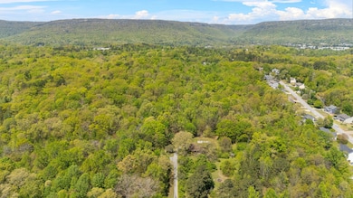 401 Laymons Rd, Hixson, TN 37343 - photo 3