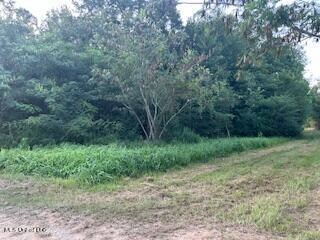 0 Red Oak Dr unit 4087759, Lucedale, MS 39452 - photo 7