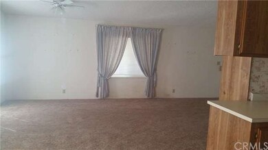 LARGE LIVINGROOM