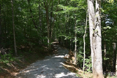 Cannon Hollow Rd unit LotWP001, Bronston, KY 42518 - photo 4