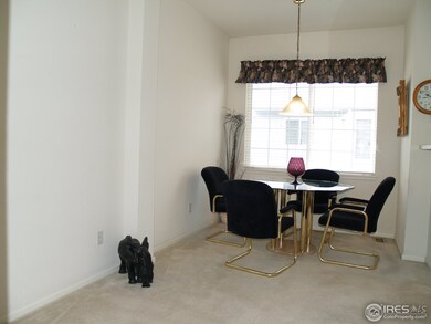 4200 E 119th Place, Thornton, CO 80233 - photo 6
