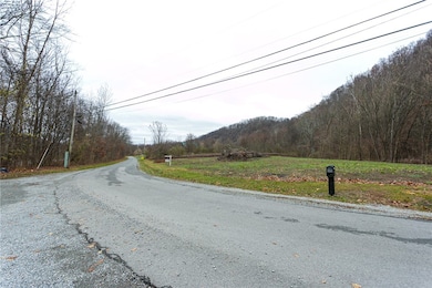 TR495 River Rd, Perryopolis, PA 15473 - photo 6