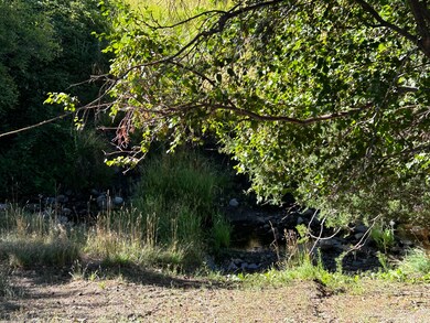 IMG_5281
