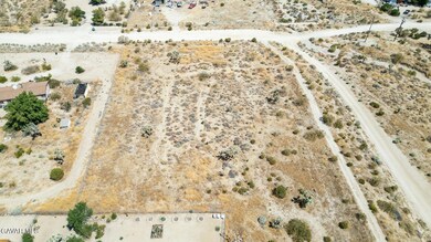 0 De la Rosa Rd unit 25005438, Pinon Hills, CA 92372 - photo 6