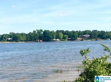 0 Lokey Ln unit 1287478, Wilsonville, AL 35186 - photo 3