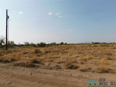0 Earl Scott Trail SW unit 20213932, Deming, NM 88030 - photo 4