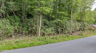 Tbd Azen Rd, Damascus, VA 24236 - photo 7