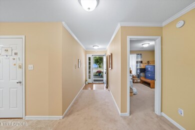 1652 Emerald Pointe Ln, Knoxville, TN 37918 - photo 4