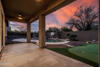 7f backyard
