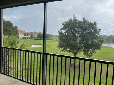 12610 Sorrento Way unit 201, Bradenton, FL 34211 - photo 6