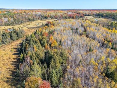 ON Cth G, Nekoosa, WI 54457 - photo 2