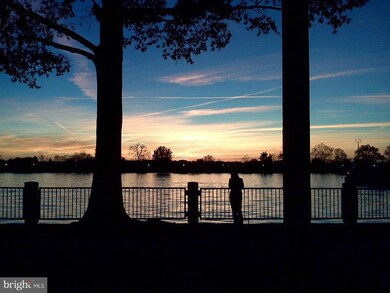 Tiber Island unit W-202, Washington, DC 20024 - photo 5