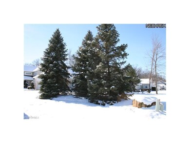 Tall pine trees provide added privacy year round.