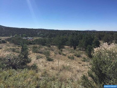 21 Antelope Run, Silver City, NM 88061 - photo 2