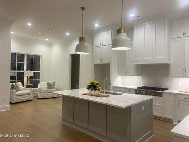 114 Herons Bay Cir, Madison, MS 39110 - photo 4