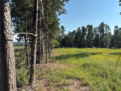 000 Rattlesnake Ln, Pottsville, AR 72858 - photo 2