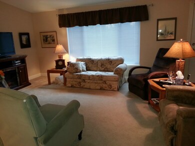 351 E Leffler Loop Rd, Grapeview, WA 98546 - photo 4