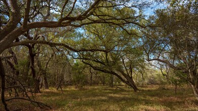 28084 Delafield Dr, New Braunfels, TX 78132 - photo 4