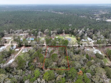 43 Pine Oak Ln, Huntsville, TX 77340 - photo 6