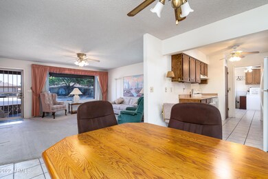 Kitchen / Living Room