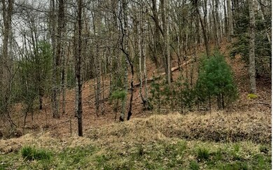 LT 6 Peter Knob Rd, Blue Ridge, GA 30513 - photo 3