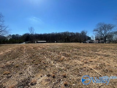 4277 Hobbs Island Rd, Owens Cross Roads, AL 35763 - photo 6