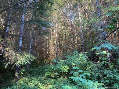 0 Germany Creek Rd unit 1635470, Longview, WA 98632 - photo 3