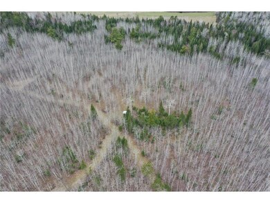 DJI_0219