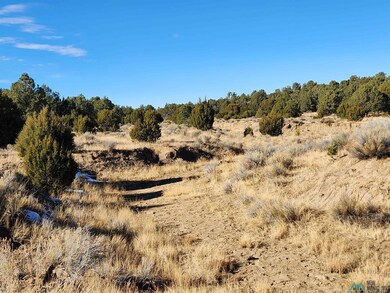 TBD Ponderosa Ranches Trail, Pie Town, NM 87827 - photo 6