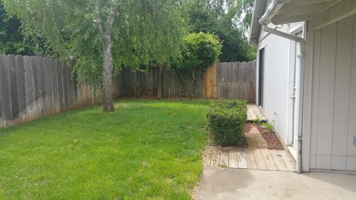 Portion of the Backyard